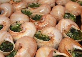 escargots au beurre persillé