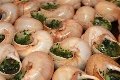 escargots au beurre persille