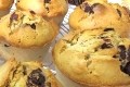 muffins aux 2 chocolats