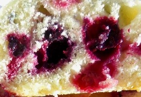 muffins aux fruits rouges