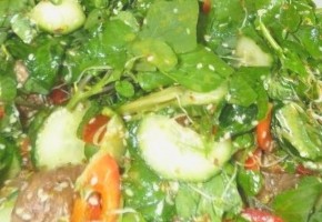 salade énergisante au boeuf et cresson