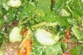 salade energisante au boeuf et cresson