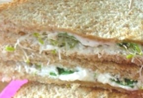 sandwich végétarien au tofu et graines germées