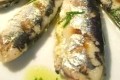sardines grillees au citron et a la coriandre
