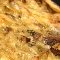 tarte feuilletée de brie aux champignons