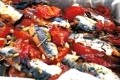 tian de sardines a la provencale
